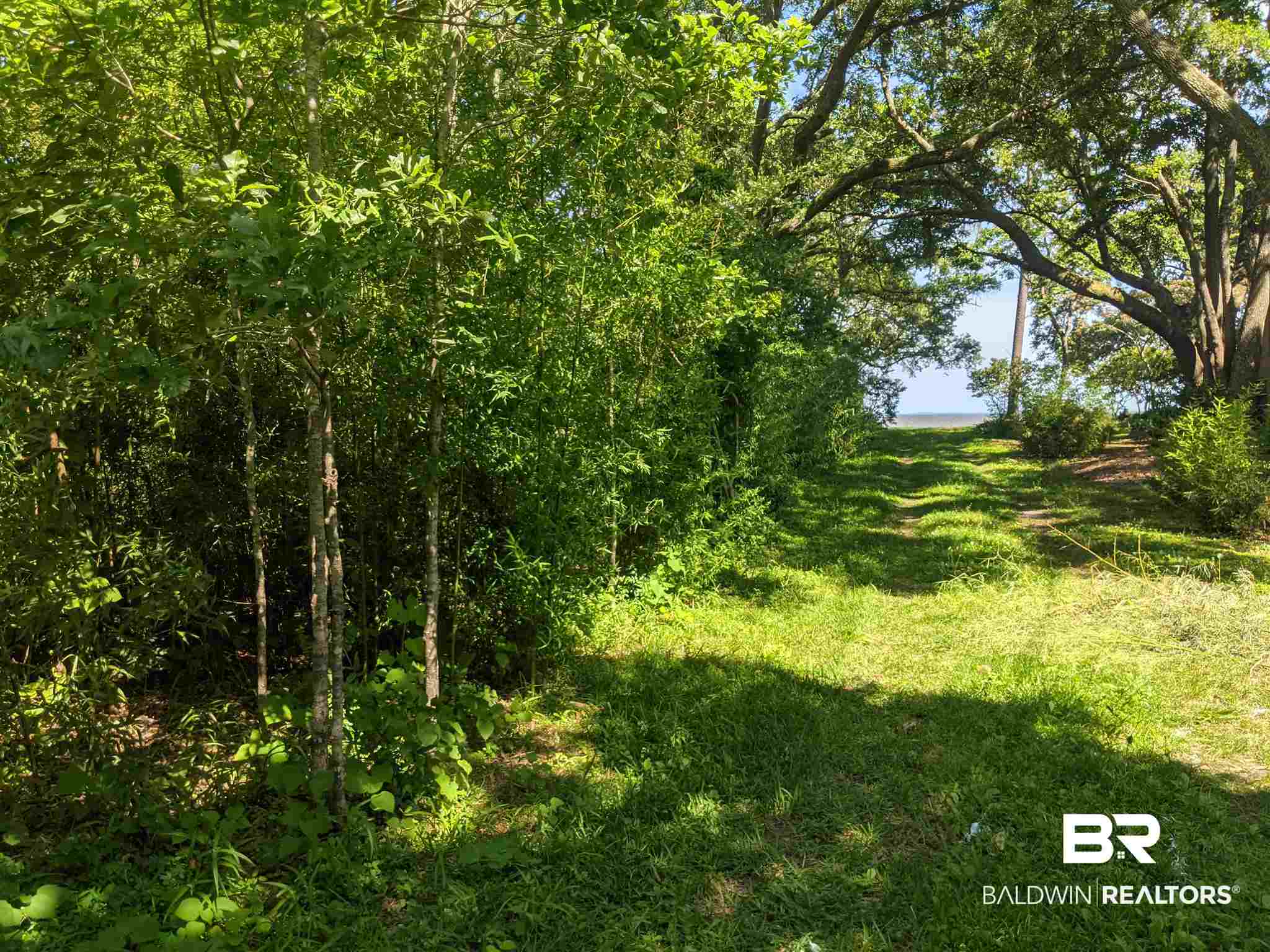 4519 Park Road Mobile, AL 36605 - Photo 11 of 15