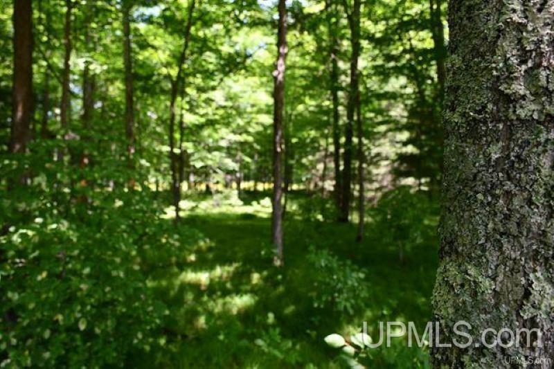 Lot#25 Fordville Road Foster City, MI 49834 - Photo 13 of 27