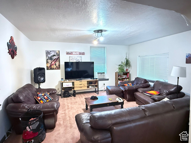 389 West 500 South Provo, UT 84601 - Photo 9 of 30 West Unit