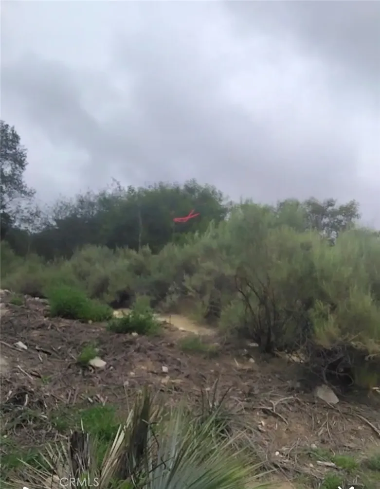 0 Tujunga Tujunga, CA 91042 - Photo 15 of 24