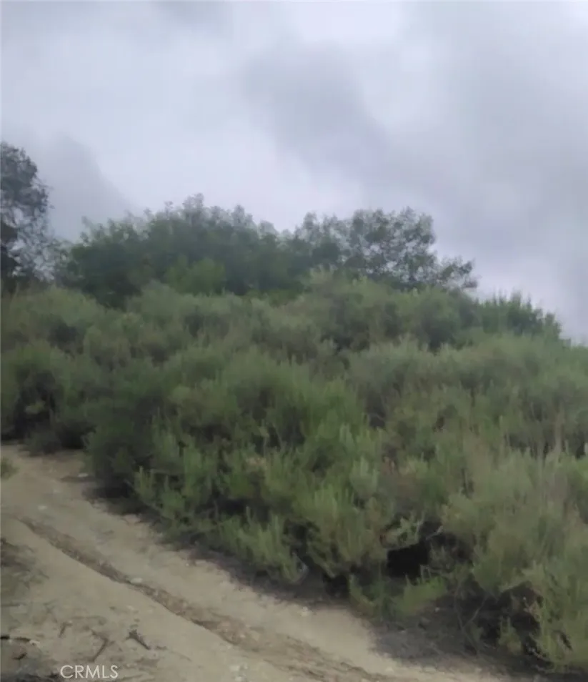 0 Tujunga Tujunga, CA 91042 - Photo 16 of 24