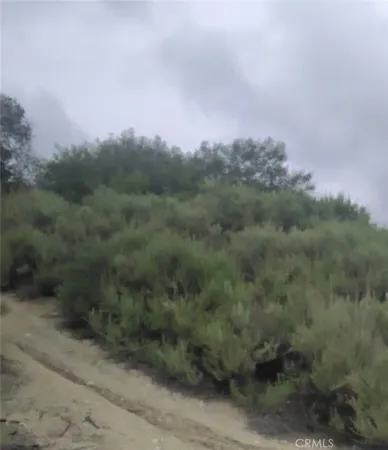 $25,000 | 0 Tujunga, Tujunga, CA 91042