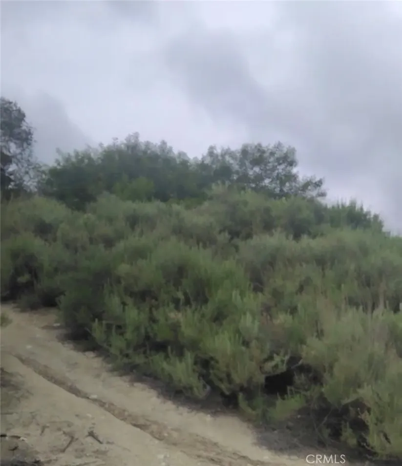 0 Tujunga Tujunga, CA 91042 - Photo 22 of 24