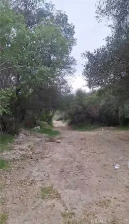 a view of a dry yard