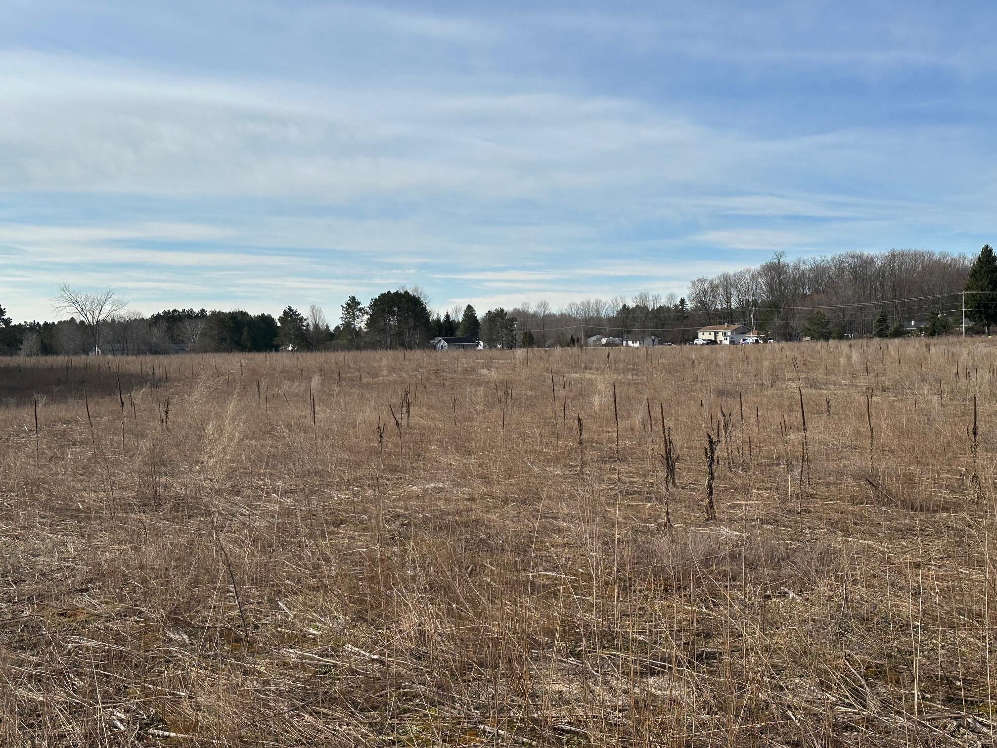 Parcel F East Long Lake Road Traverse City, MI 49685 - Photo 3 of 8