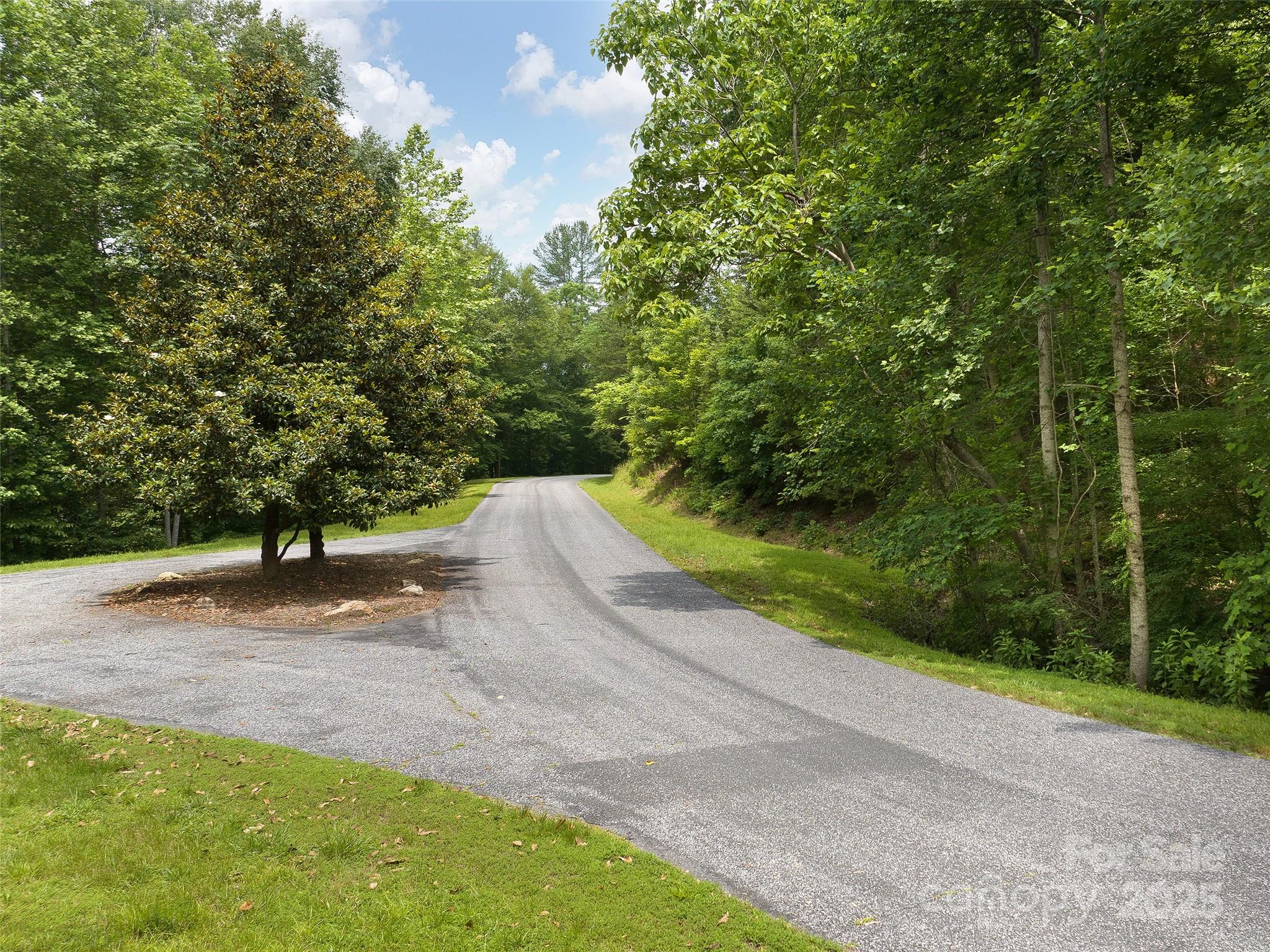 Lot 4 South A S Cove Rd Mill Spring Mill Spring, NC 28756 - Photo 2 of 8 a view of a street