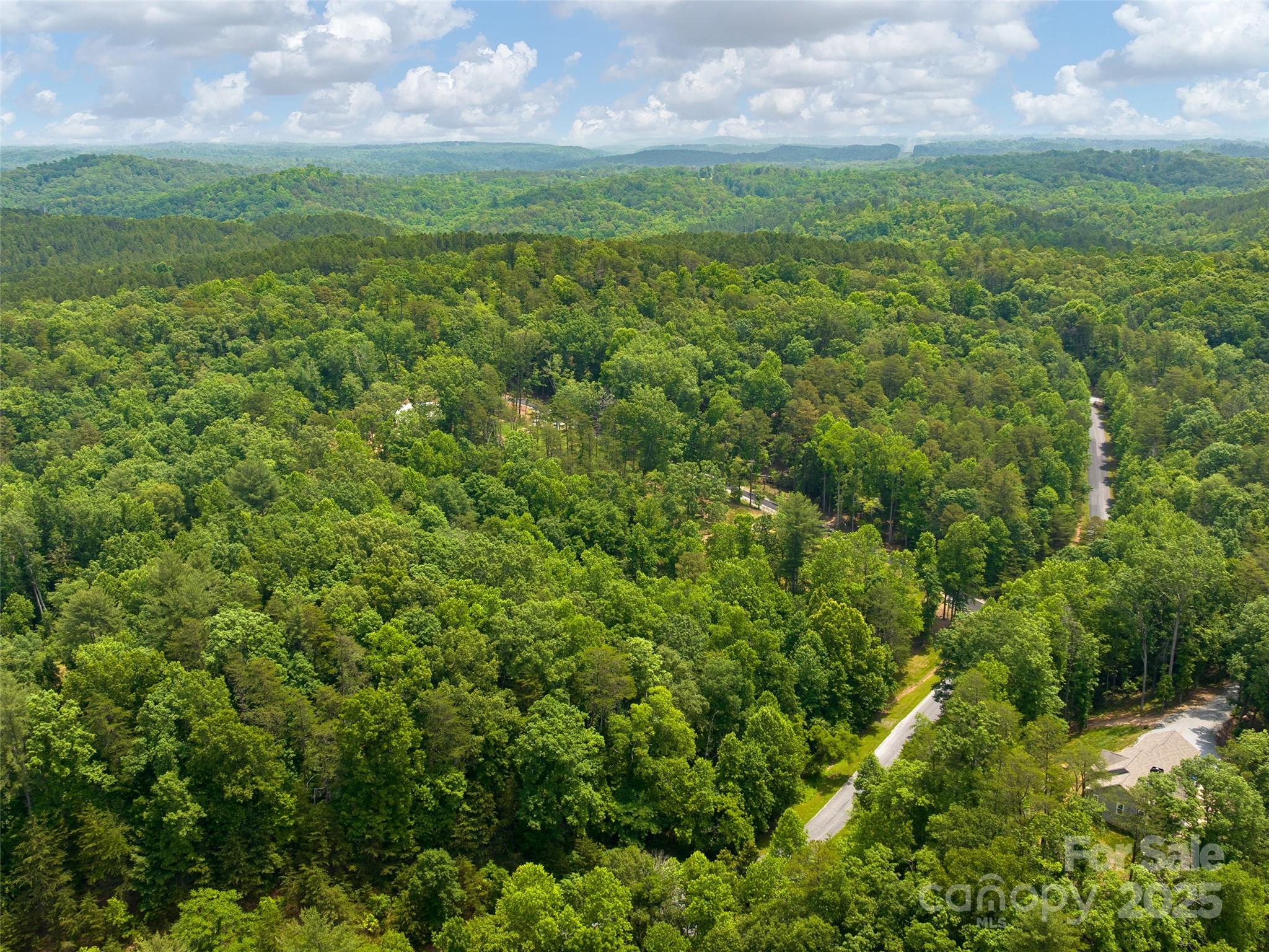 Lot 4 South A S Cove Rd Mill Spring Mill Spring, NC 28756 - Photo 6 of 8 a view of a big yard with plants and large trees