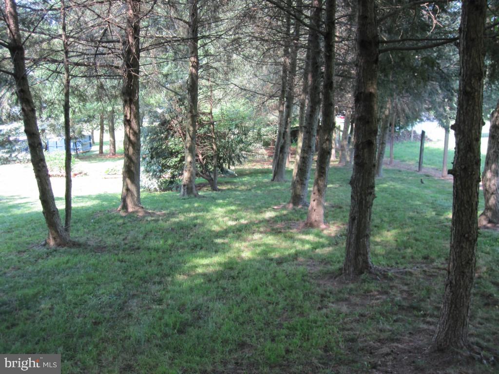 731 Webster Hill Road Lititz, PA 17543 - Photo 25 of 32