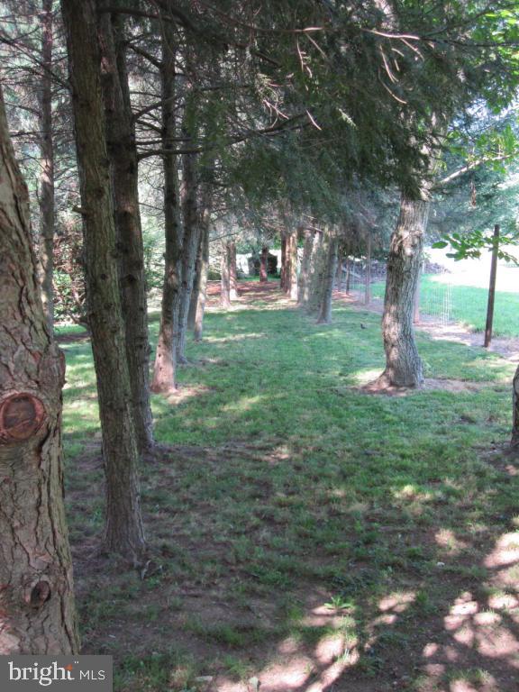 731 Webster Hill Road Lititz, PA 17543 - Photo 26 of 32
