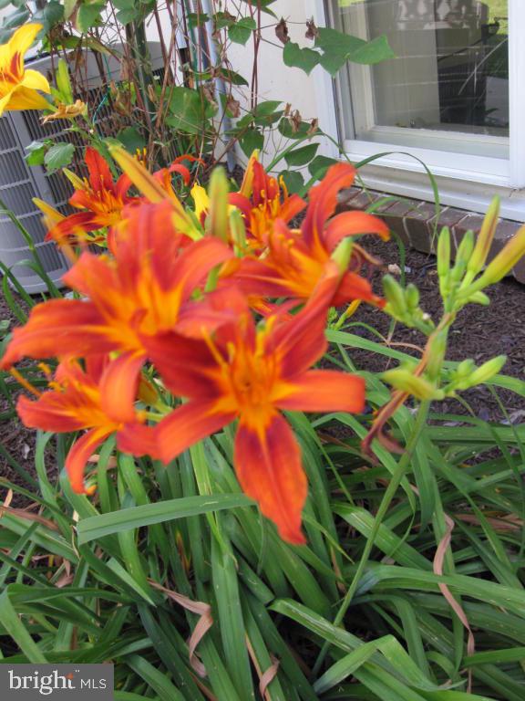 731 Webster Hill Road Lititz, PA 17543 - Photo 29 of 32