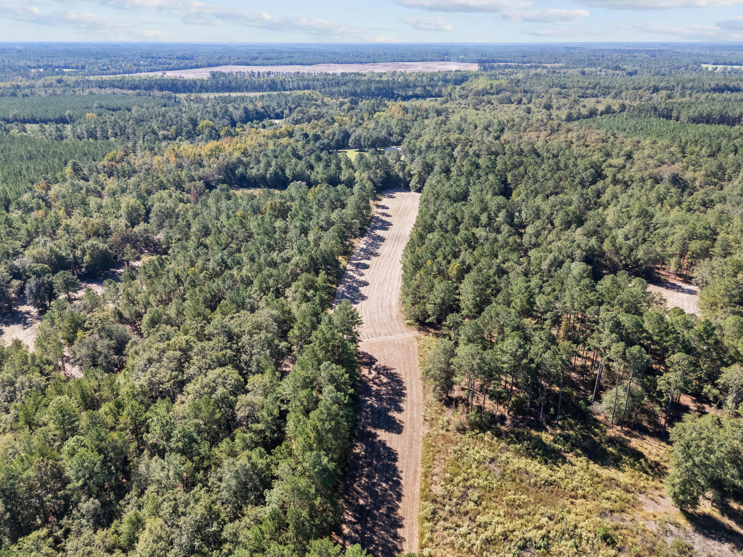 7901 State Rd S-6-169 Blackville, SC 29817 - Photo 81 of 89