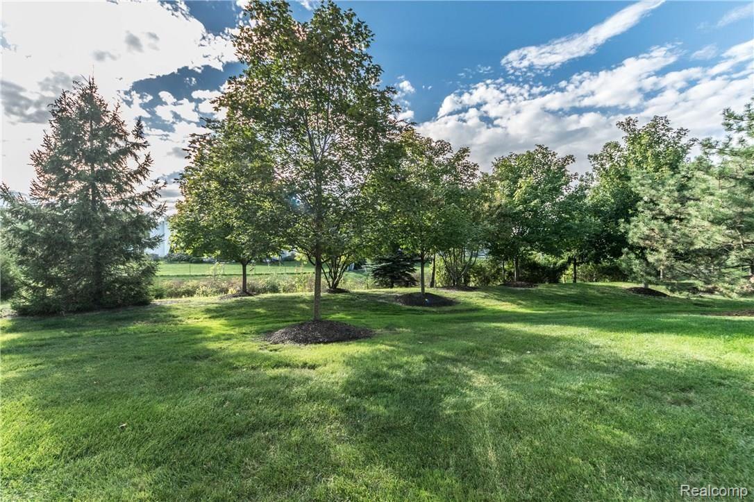 430 Cherry Grove Road Canton, MI 48188 - Photo 29 of 32 28_5.jpg