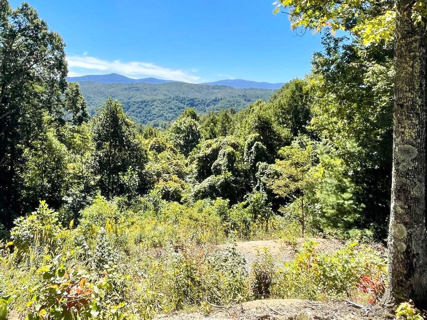 804 Vista Road, Unit LOT 4 Butler, TN 37640 - Photo 2 of 20 20221003142653044789000000-o