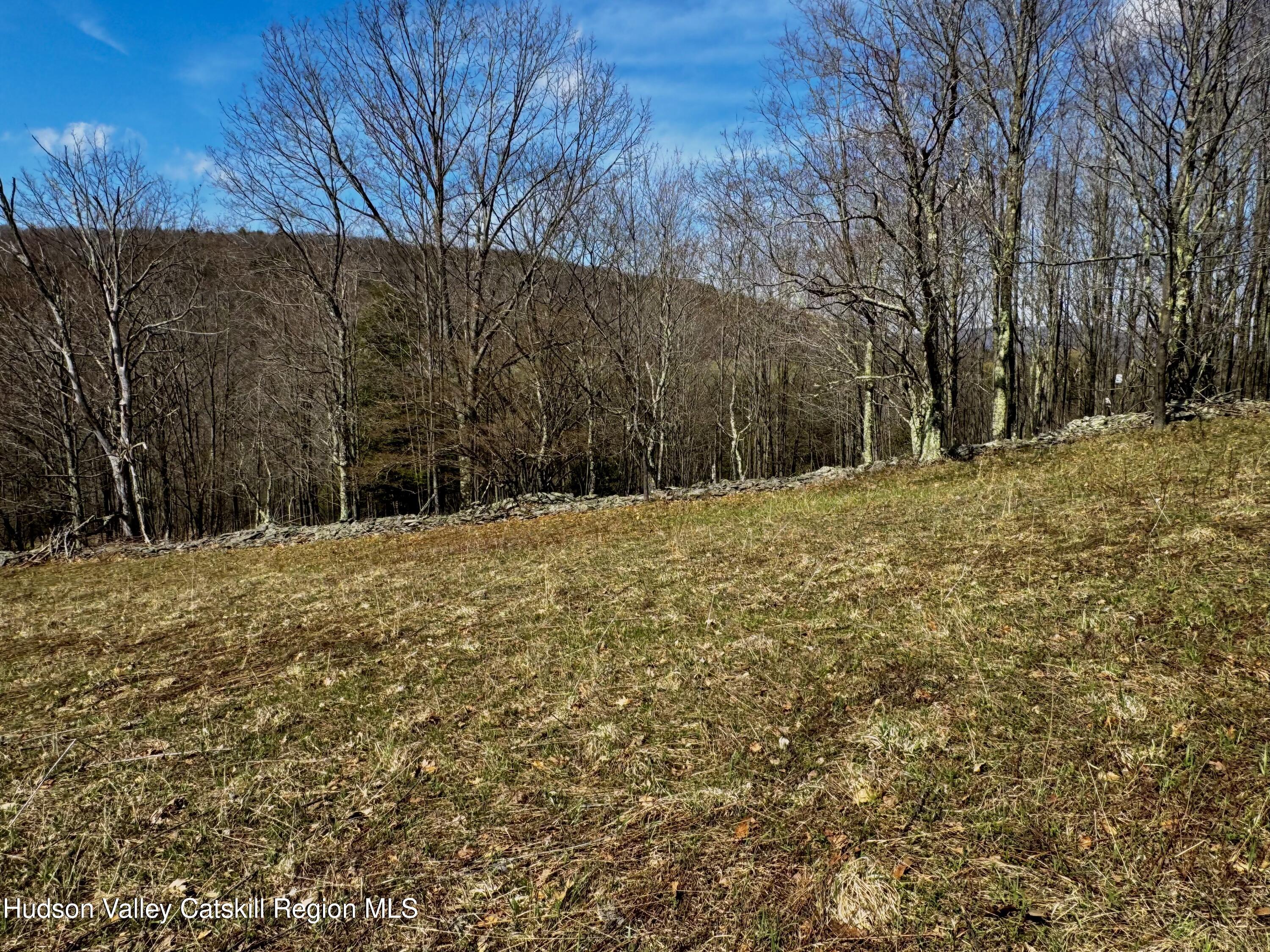 Tbd Hogg Mountain Road Fleischmanns, NY 12430 - Photo 14 of 22 #14