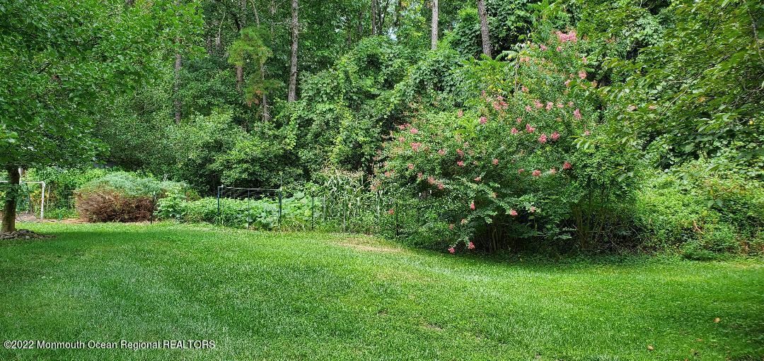 3451 Hankins Road Nesco, NJ 08037 - Photo 51 of 51 thumbnail (54)