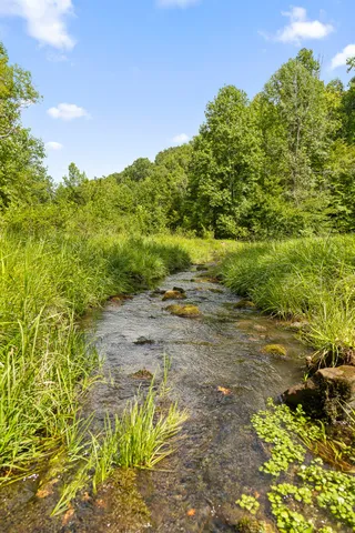 $300,000 | 0 Mountain Parkway, Unit 101, Chickamauga, GA 30707