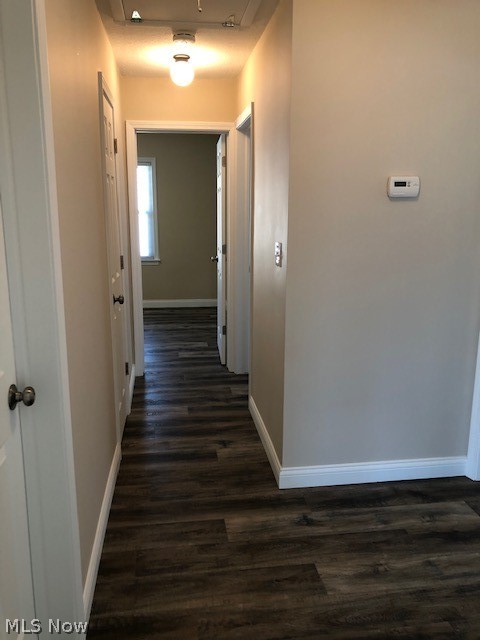 31802 Densmore Road Willowick, OH 44095 - Photo 16 of 32