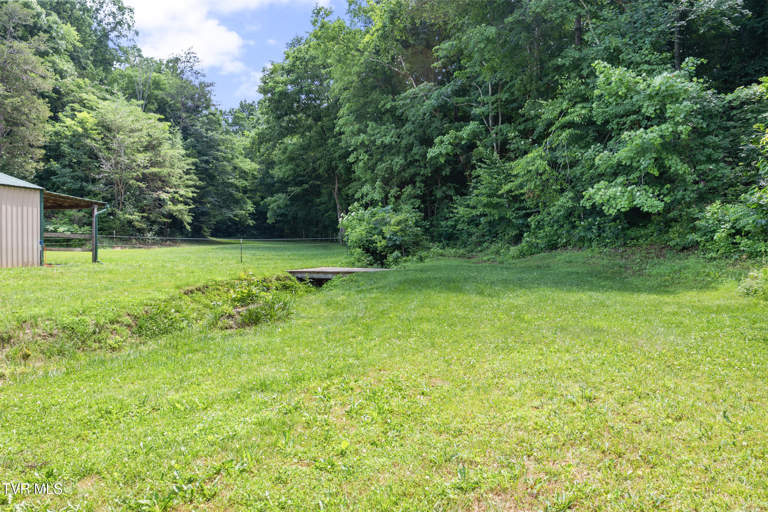 3427 Bill Douglas Road Newport, TN 37821 - Photo 44 of 50 29_back yard