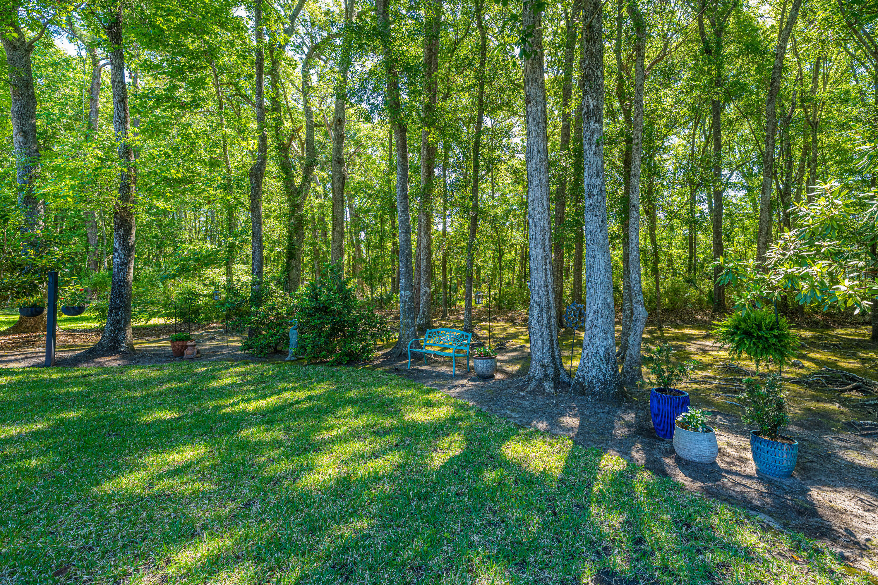 2801 Rosedown Point Mount Pleasant, SC 29466 - Photo 47 of 74