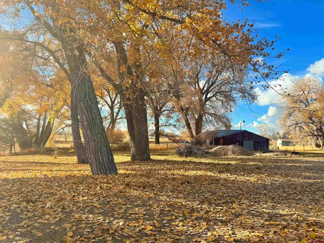 $999,500 | 25286 Rd T.5, Dolores, CO 81323