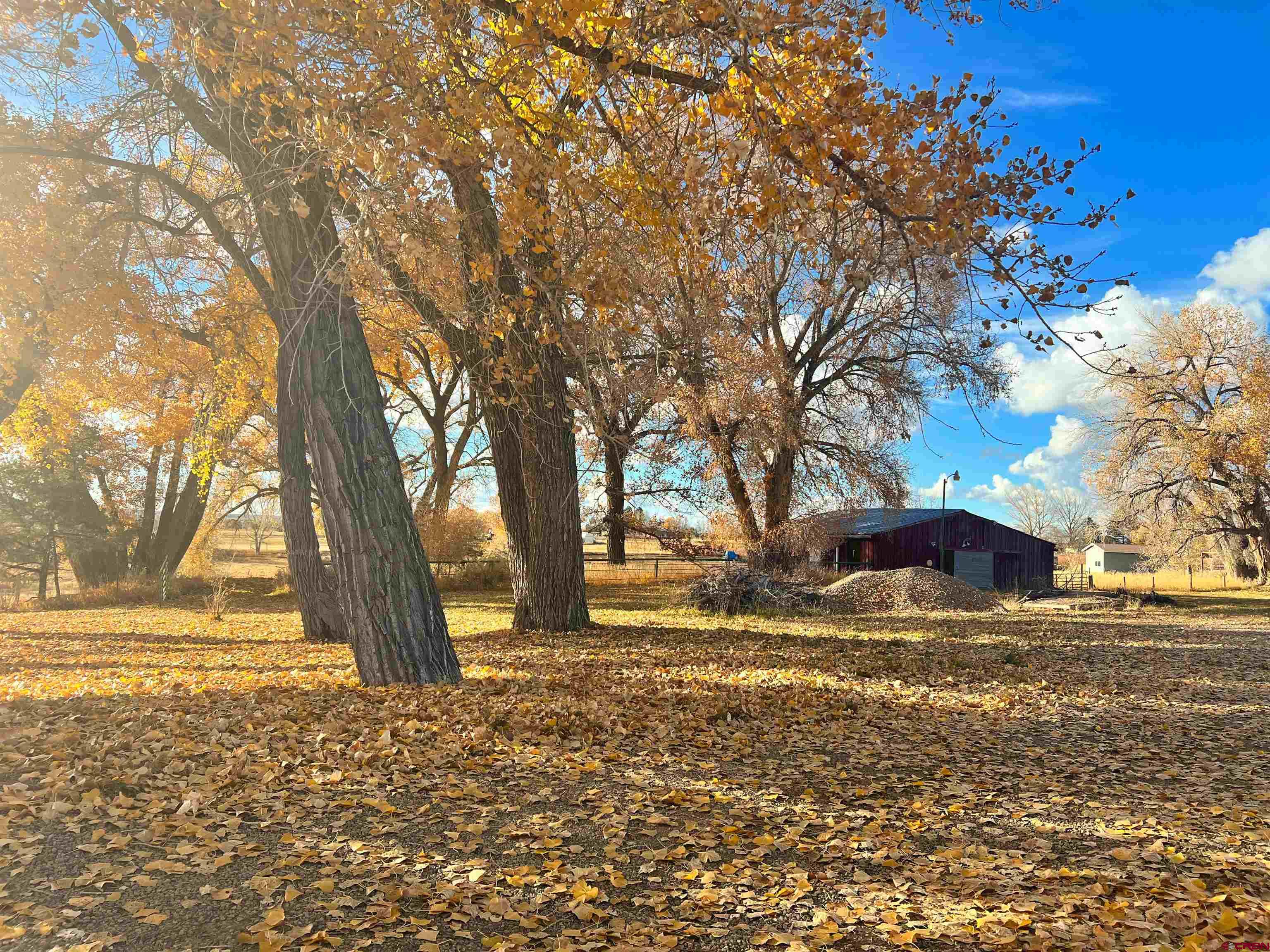 25286 Rd T.5 Dolores, CO 81323 - Photo 13 of 44 a view of yard with tree in the background