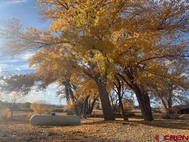 $999,500 | 25286 Rd T.5, Dolores, CO 81323