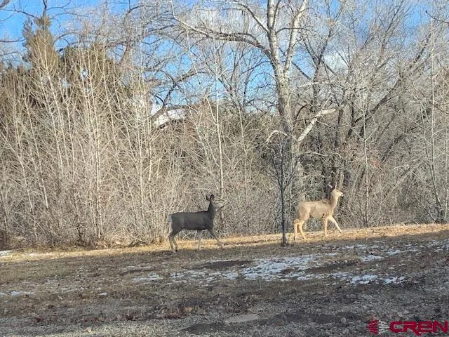 $999,500 | 25286 Rd T.5, Dolores, CO 81323