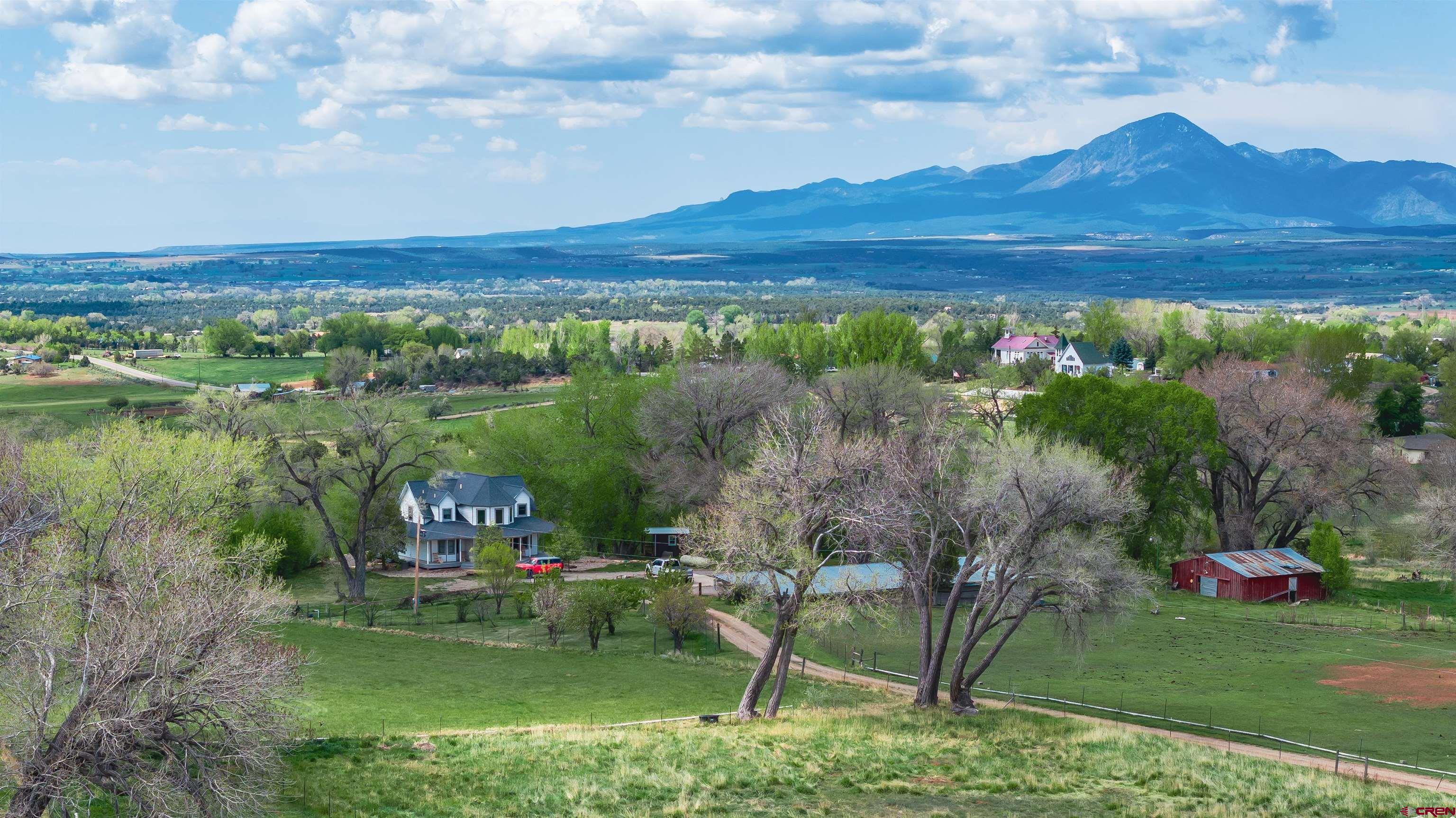 25286 Rd T.5 Dolores, CO 81323 - Photo 7 of 44 a view of a table and chairs in patio next to a yard