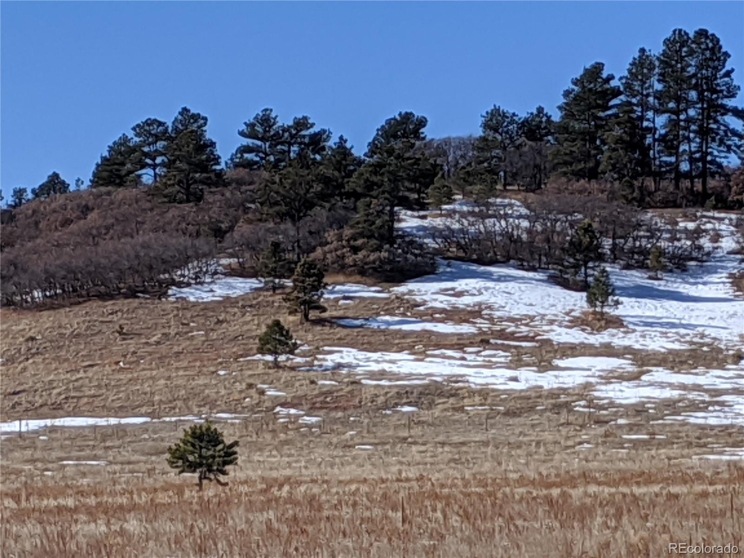 East Cherry Creek Road Larkspur, CO 80118 - Photo 11 of 14