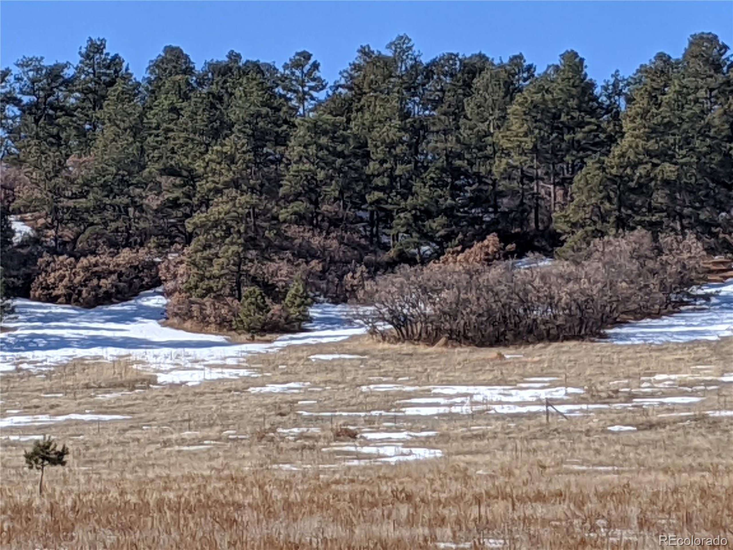 East Cherry Creek Road Larkspur, CO 80118 - Photo 12 of 14