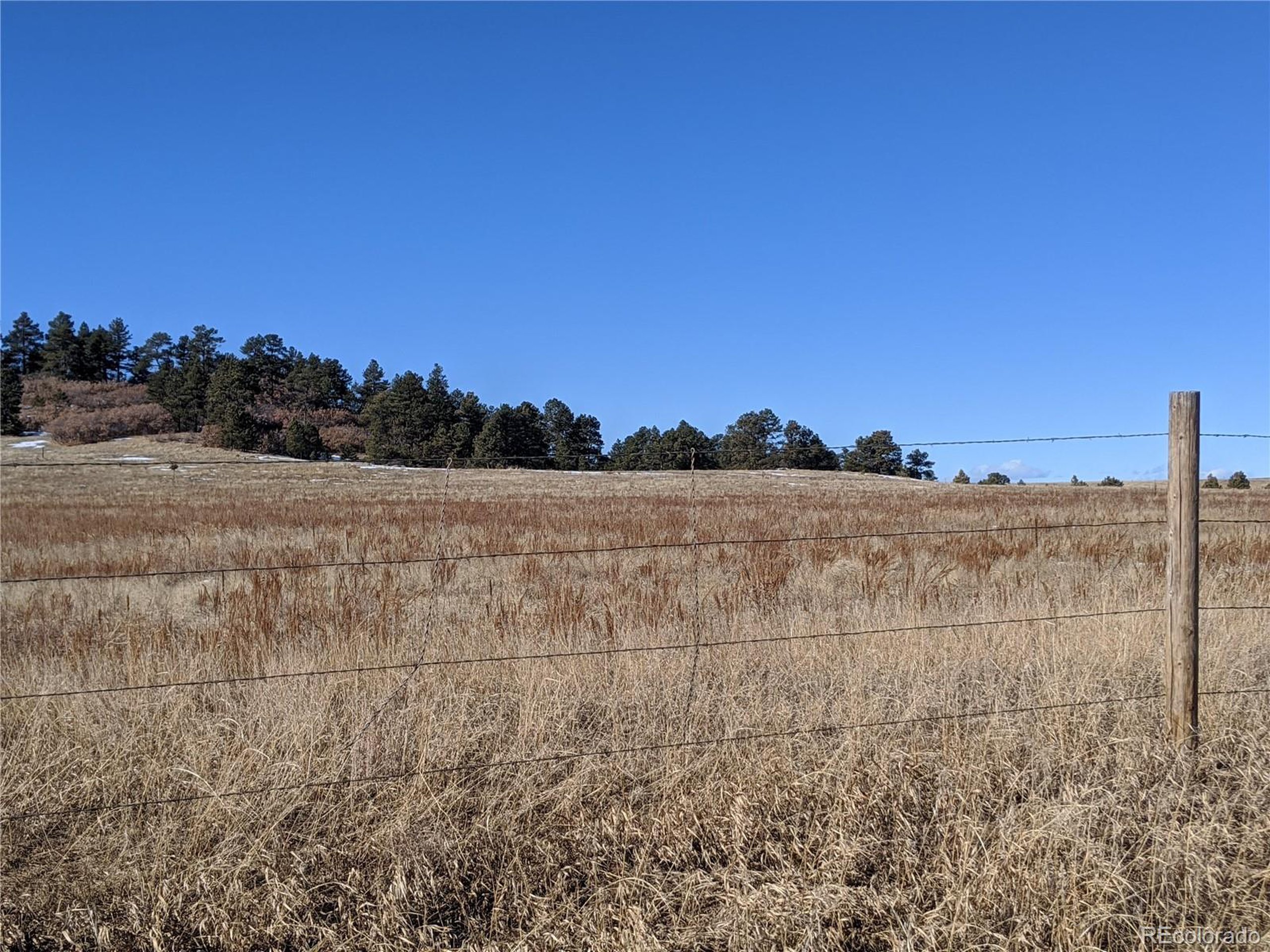 East Cherry Creek Road Larkspur, CO 80118 - Photo 13 of 14
