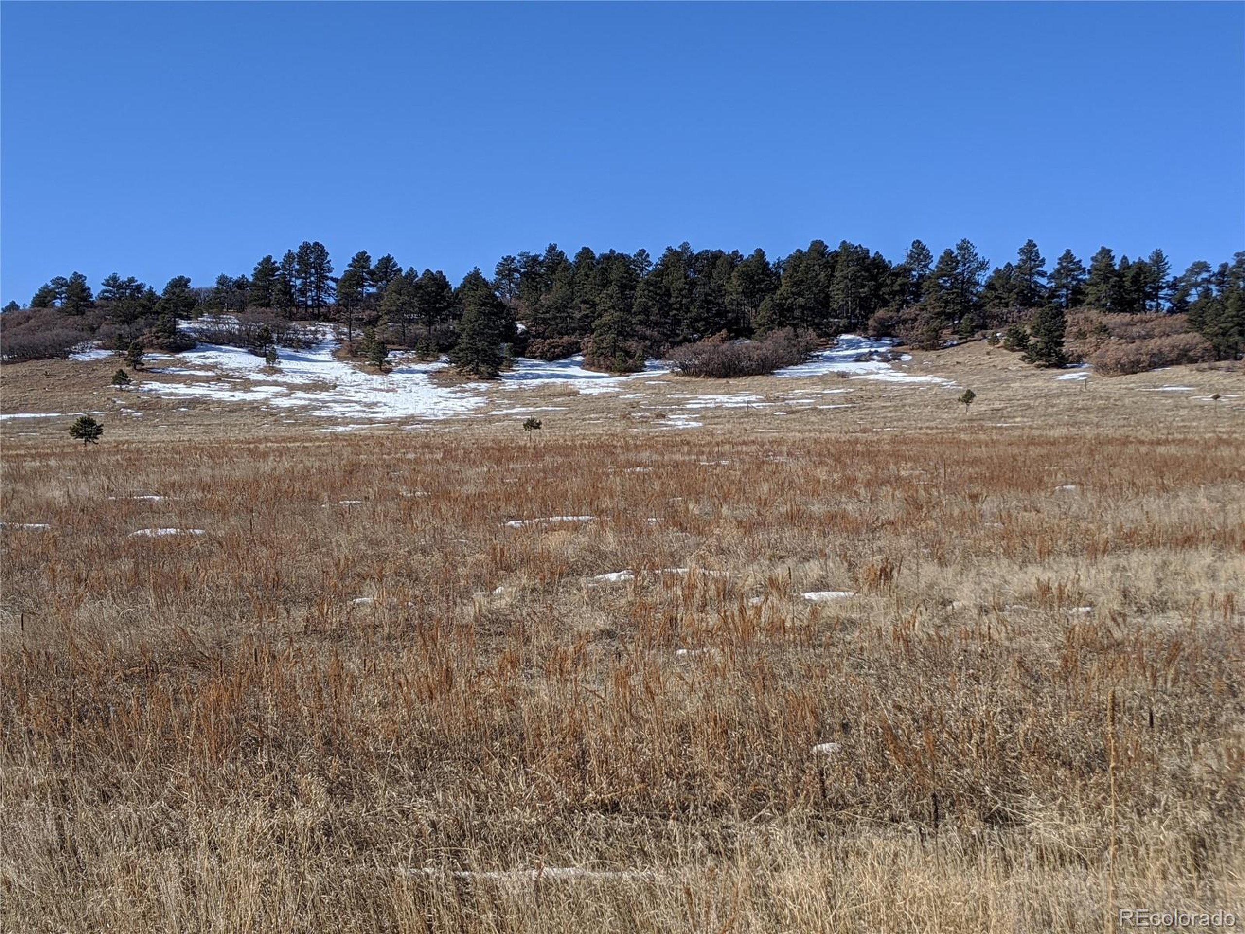East Cherry Creek Road Larkspur, CO 80118 - Photo 9 of 14