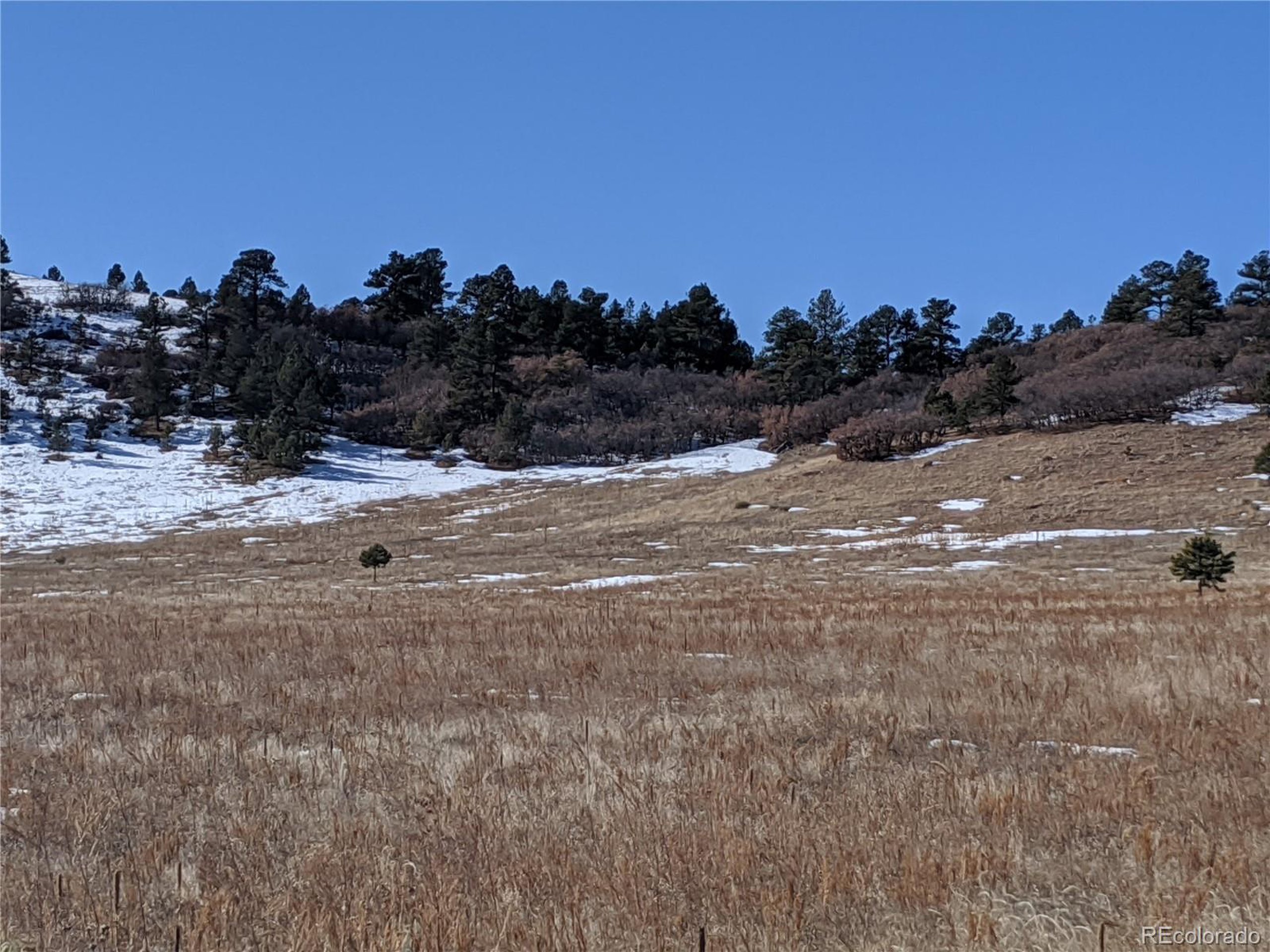East Cherry Creek Road Larkspur, CO 80118 - Photo 10 of 14