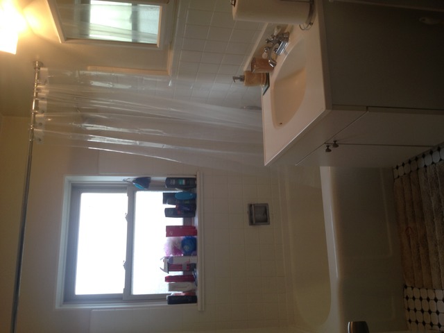 637 Brummel Street, Unit 2 Evanston, IL 60202 - Photo 6 of 9