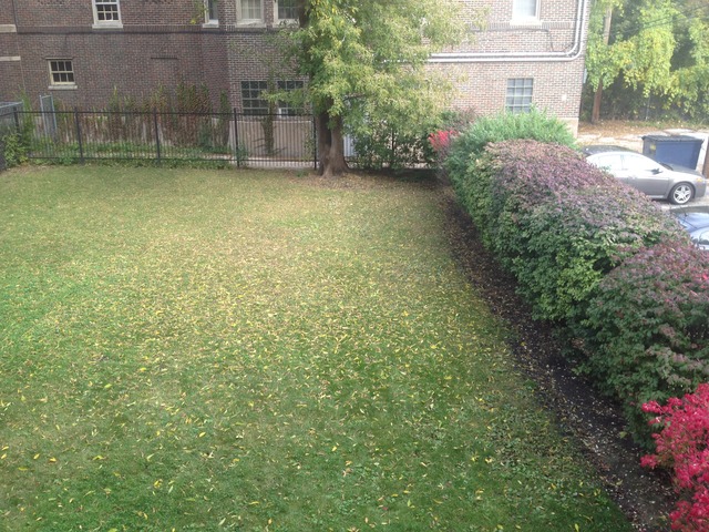 637 Brummel Street, Unit 2 Evanston, IL 60202 - Photo 7 of 9