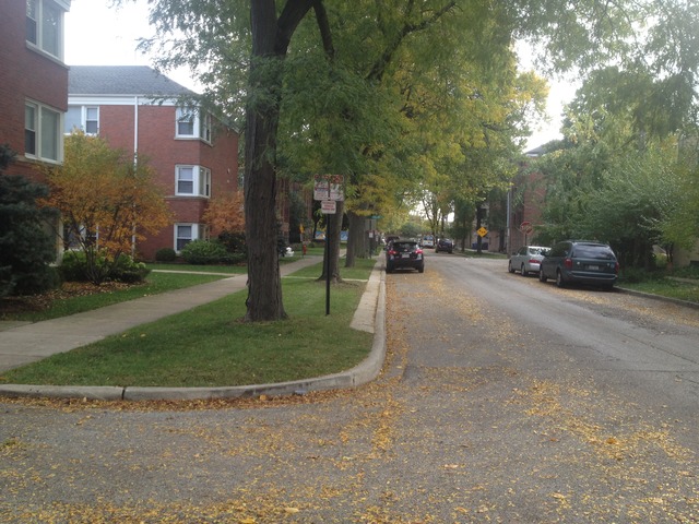 637 Brummel Street, Unit 2 Evanston, IL 60202 - Photo 9 of 9