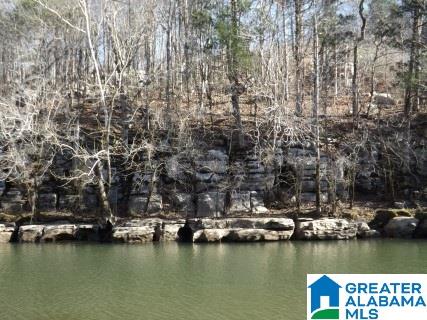 0 Pea Ridge Circle, Unit 424 Union Grove, AL 35175 - Photo 37 of 49
