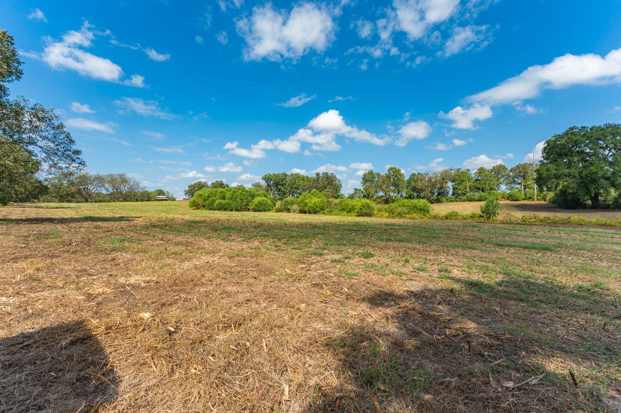 5.65-acre Prescott Road Florala, AL 36442 - Photo 31 of 36 a view of an ocean and a houses