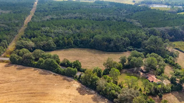 a view of a garden with a lake