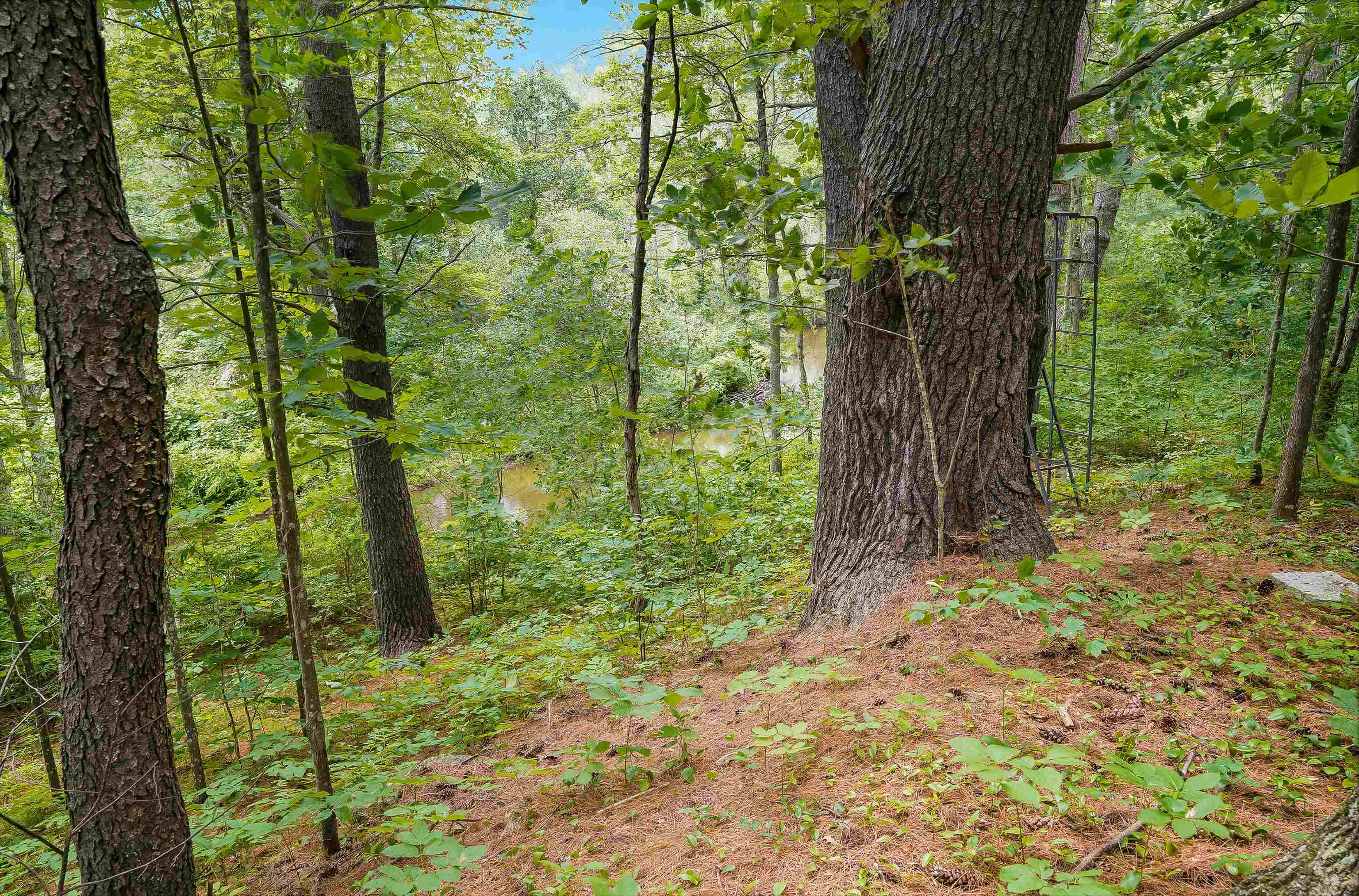 221 Piscassic Road Newfields, NH 03856 - Photo 51 of 59