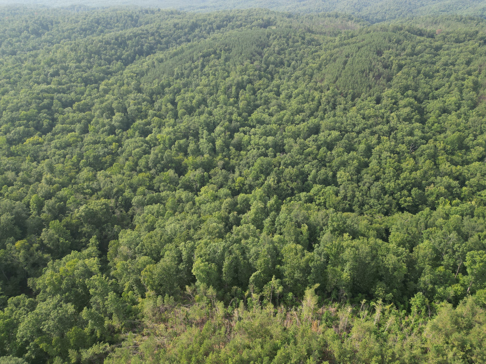 0 Toll Hollow Road Waynesboro, TN 38485 - Photo 34 of 43