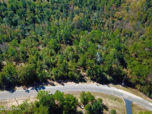 $21,900 | 0 Highlands Circle, Alford, FL 32420