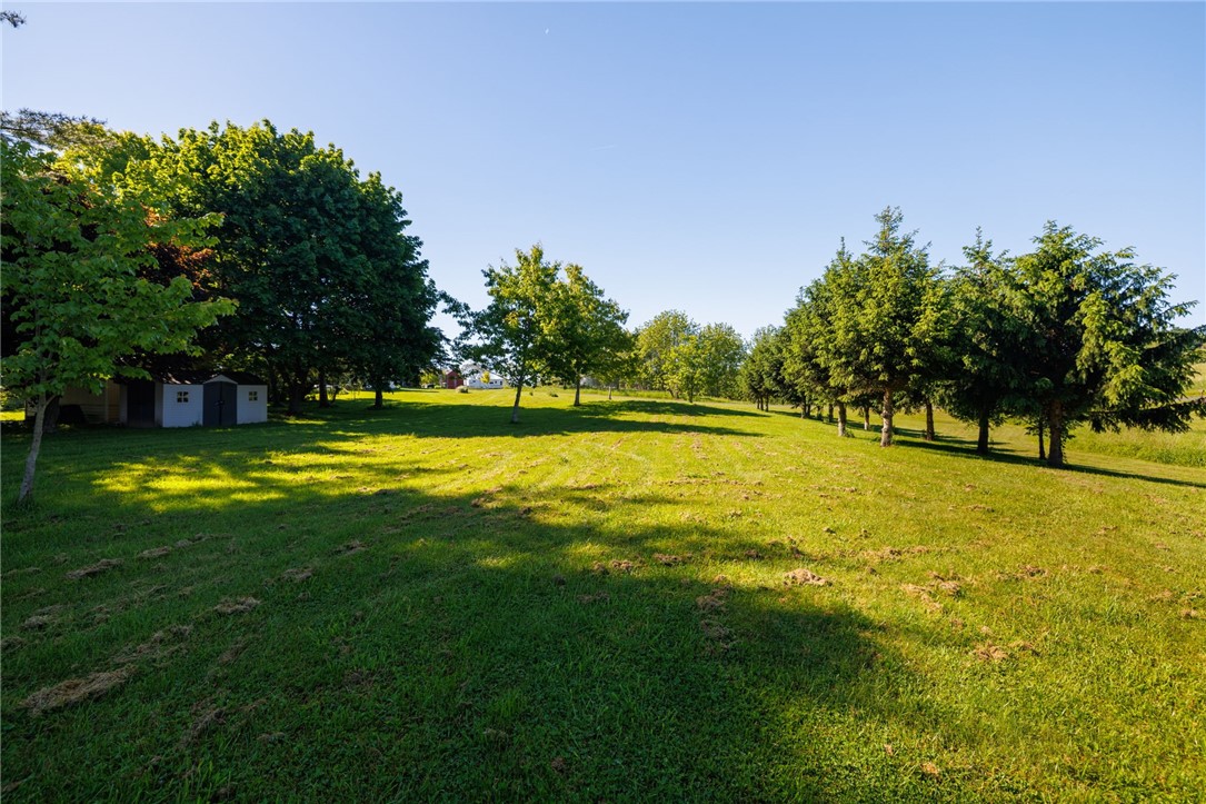 14081 Cramer Road Wolcott, NY 13143 - Photo 8 of 47