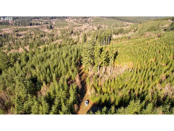 $695,000 | 3 Northeast Jones Creek Road, Camas, WA 98607