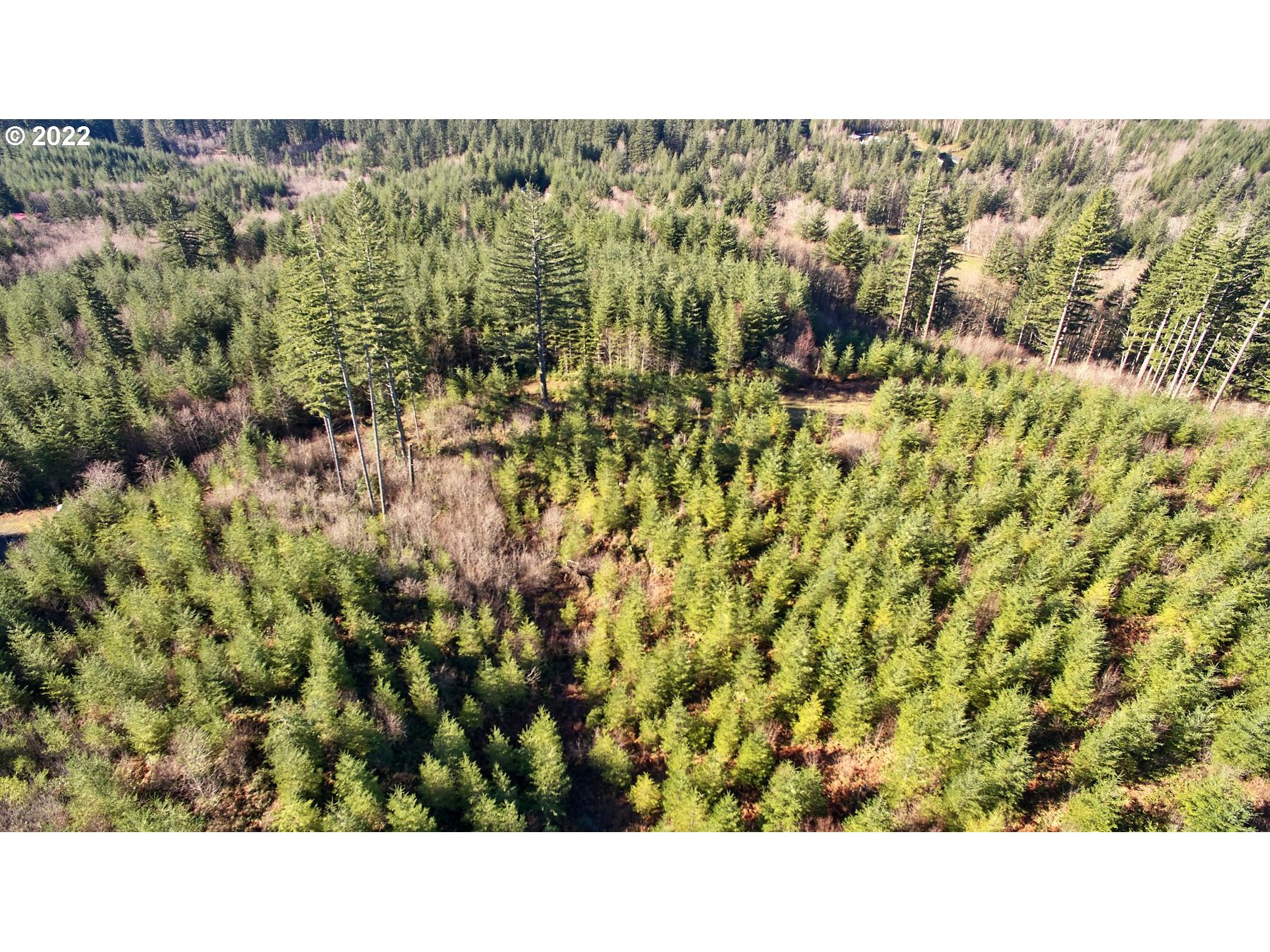 3 Northeast Jones Creek Road Camas, WA 98607 - Photo 11 of 24