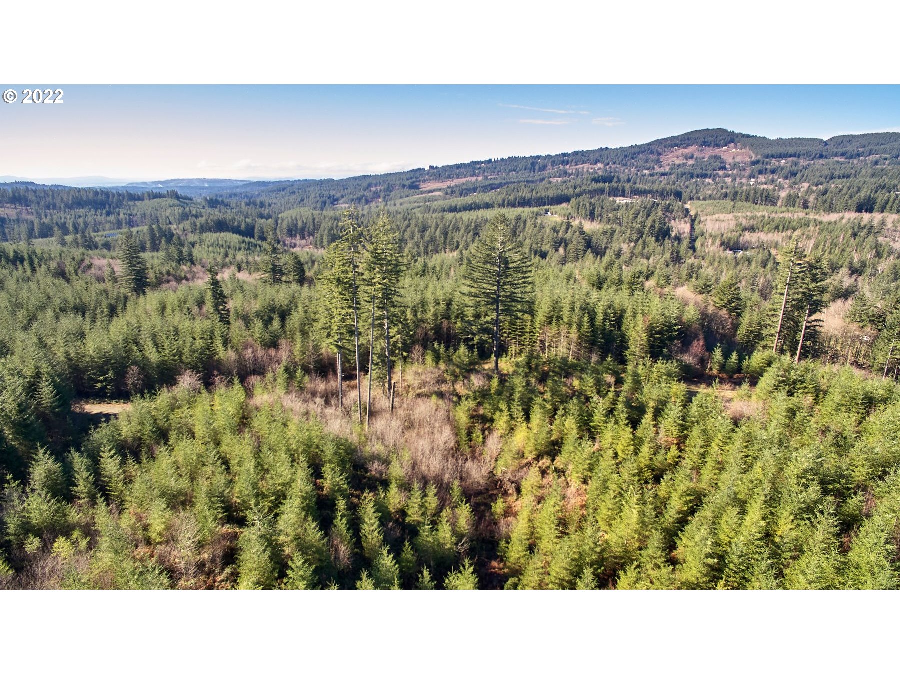 3 Northeast Jones Creek Road Camas, WA 98607 - Photo 12 of 24