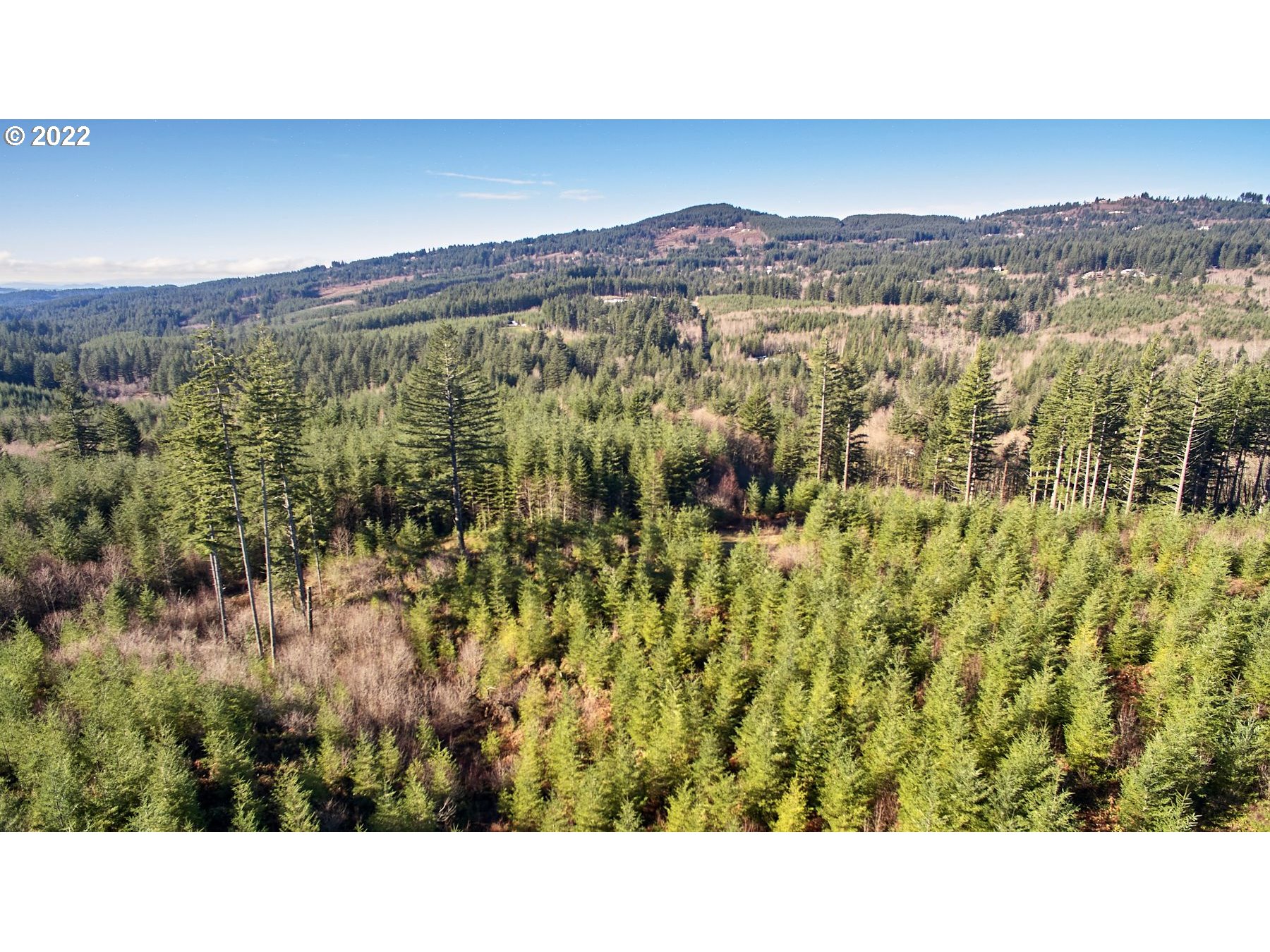 3 Northeast Jones Creek Road Camas, WA 98607 - Photo 13 of 24