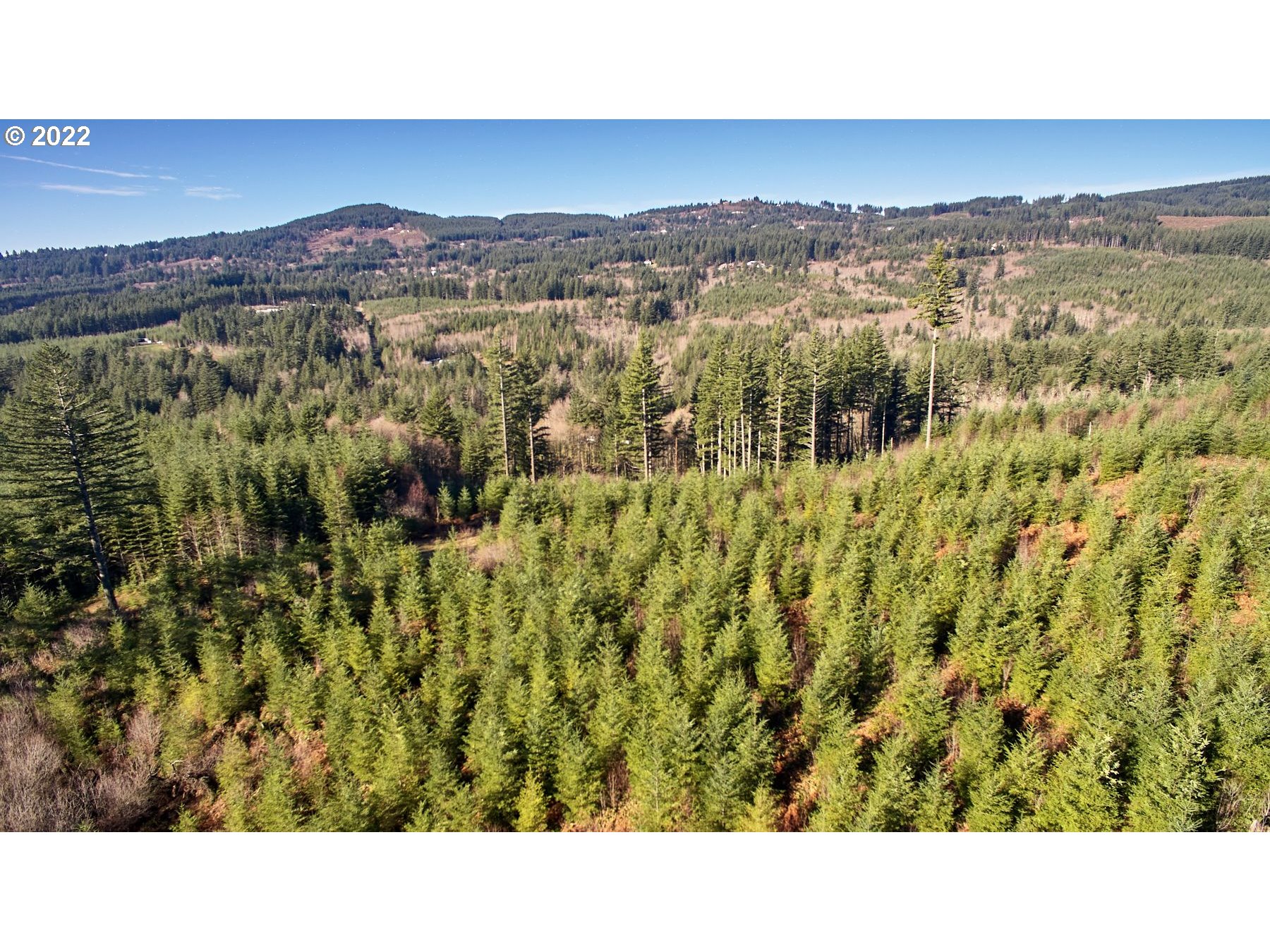 3 Northeast Jones Creek Road Camas, WA 98607 - Photo 14 of 24