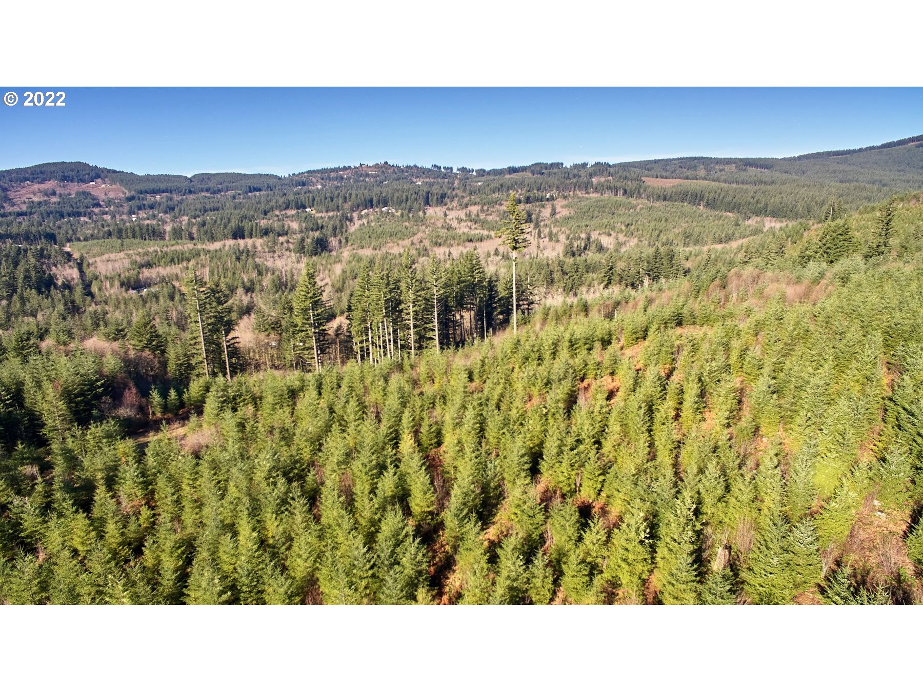 3 Northeast Jones Creek Road Camas, WA 98607 - Photo 15 of 24