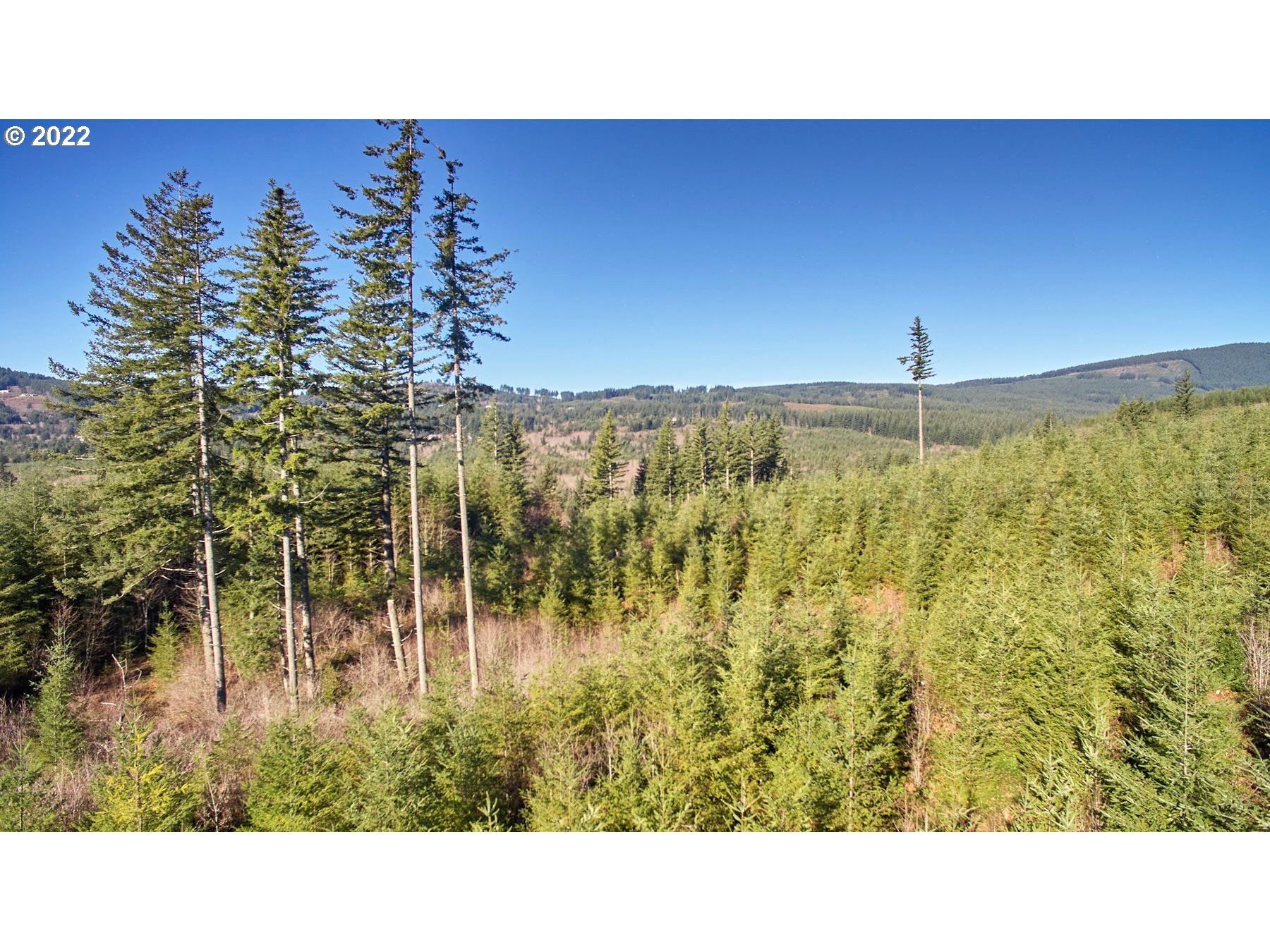 3 Northeast Jones Creek Road Camas, WA 98607 - Photo 16 of 24